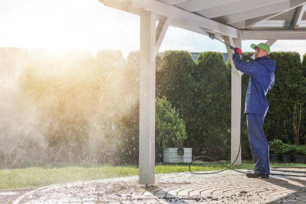 Best Roof Washing  in Cedar Grove, FL